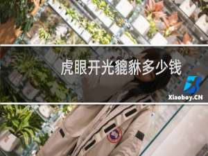 虎眼开光貔貅多少钱