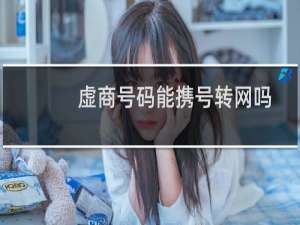 虚商号码能携号转网吗