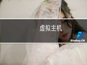 虚拟主机，临时域名 访问不了