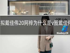 虚拟戴佳伟 阿梓为什么是v圈戴佳伟什么梗