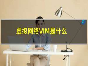 虚拟网络VIM是什么