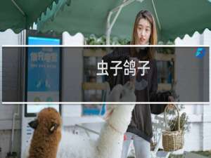 虫子鸽子