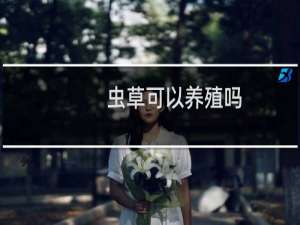 虫草可以养殖吗