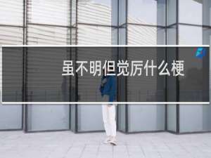 虽不明但觉厉什么梗？虽不明但觉厉是什么意思什么梗