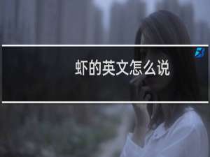 虾的英文怎么说