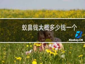 蚁鼻钱大概多少钱一个