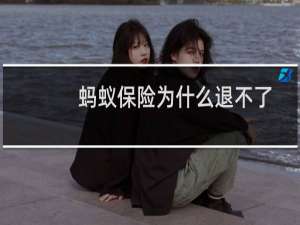 蚂蚁保险为什么退不了