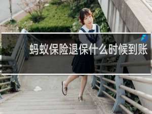 蚂蚁保险退保什么时候到账