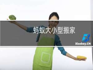 蚂蚁大小型搬家
