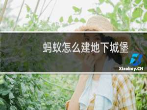 蚂蚁怎么建地下城堡