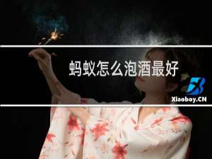 蚂蚁怎么泡酒最好