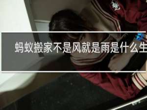 蚂蚁搬家不是风就是雨是什么生肖
