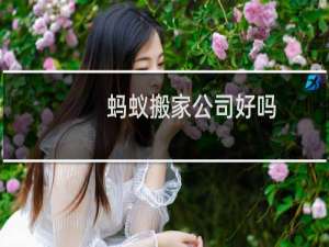 蚂蚁搬家公司好吗