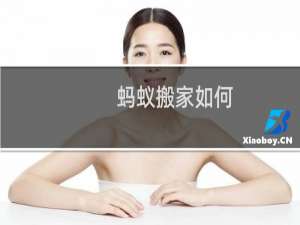 蚂蚁搬家如何