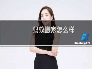蚂蚁搬家怎么样