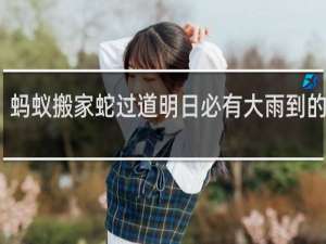 蚂蚁搬家蛇过道明日必有大雨到的意思