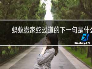 蚂蚁搬家蛇过道的下一句是什么