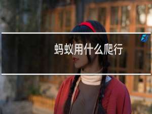 蚂蚁用什么爬行