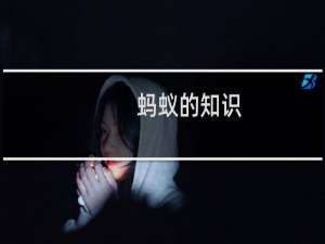 蚂蚁的知识