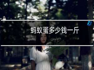蚂蚁蛋多少钱一斤