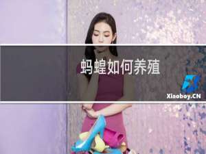 蚂蝗如何养殖