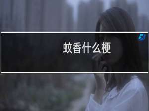 蚊香什么梗