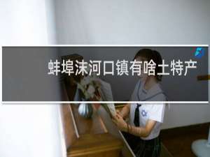 蚌埠沫河口镇有啥土特产