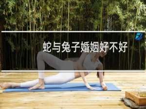 蛇与兔子婚姻好不好