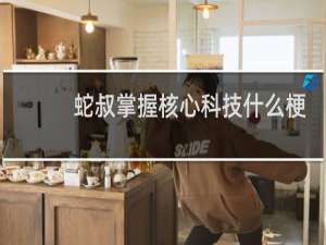 蛇叔掌握核心科技什么梗