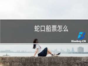 蛇口船票怎么