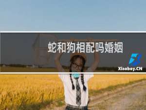 蛇和狗相配吗婚姻