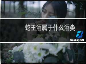 蛇王酒属于什么酒类