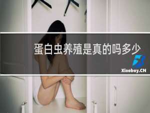 蛋白虫养殖是真的吗多少钱一斤