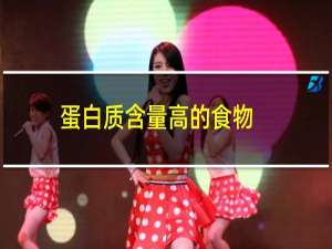 蛋白质含量高的食物