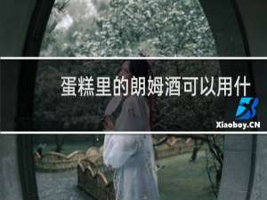蛋糕里的朗姆酒可以用什么代替