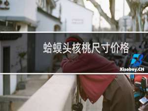 蛤蟆头核桃尺寸价格
