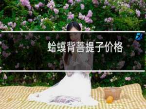 蛤蟆背菩提子价格
