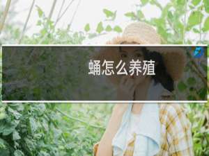 蛹怎么养殖