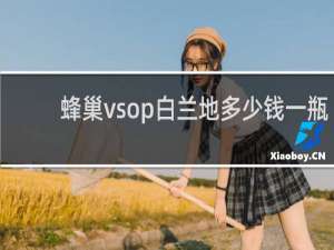 蜂巢vsop白兰地多少钱一瓶