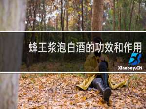 蜂王浆泡白酒的功效和作用