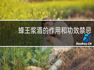蜂王浆酒的作用和功效禁忌