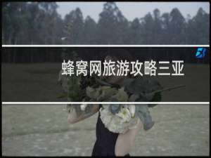 蜂窝网旅游攻略三亚