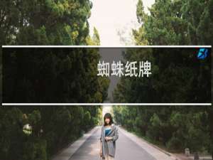【蜘蛛纸牌】免费蜘蛛纸牌软件下载