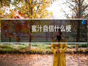 蜜汁自信什么梗？蜜汁自信是什么意思什么梗