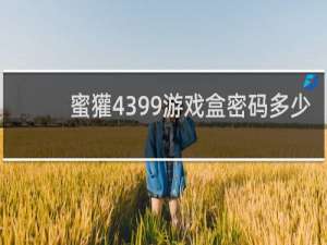 蜜獾4399游戏盒密码多少