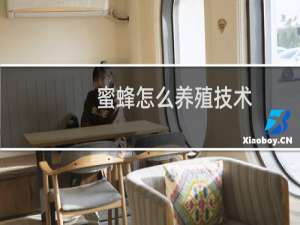 蜜蜂怎么养殖技术