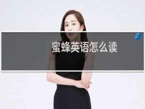 蜜蜂英语怎么读