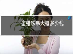 蜜蜡珠串大概多少钱