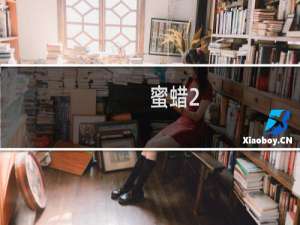 蜜蜡2.0的多少钱