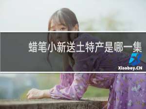 蜡笔小新送土特产是哪一集